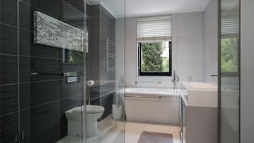 Douche, sèche-cheveux, serviettes fournies, savon
