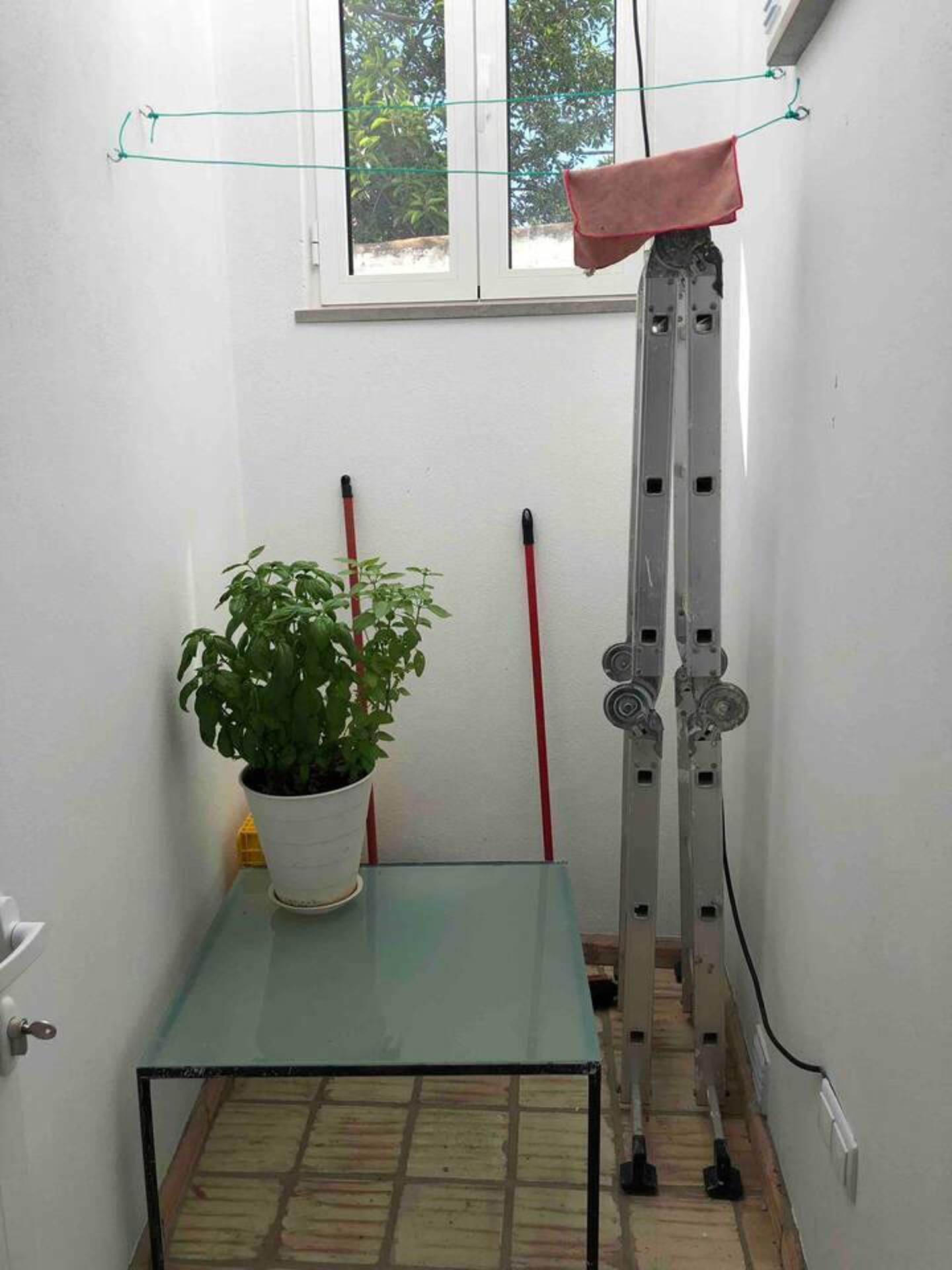 Une petite pièce avec une fenêtre, une plante en pot sur une table, une échelle et un balai rouge appuyé contre le mur.