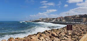 A rocky shoreline with a cityscape in the background.