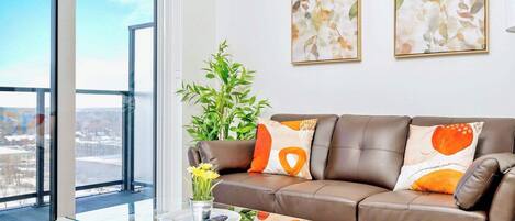 تلفزيون، مشغل دي في دي