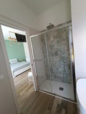 Shower, hair dryer, bidet, towels