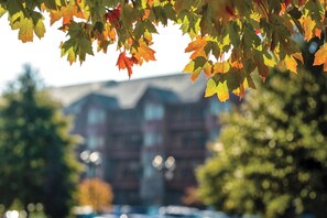 Property grounds - 2 Bedroom Condo w/ Pool View, Sleeps 8, Waterpark Passes, Great Smokies Lodge!! (Sevierville)