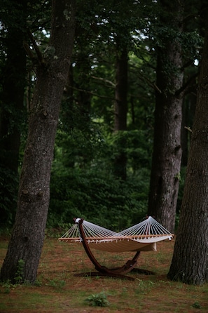 BBQ/picnic area - The Leeway (Mount Tremper)