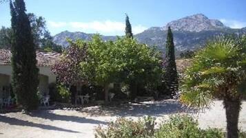 A courtyard with a mountain backdrop, surrounded by trees and a building with a tiled roof.
