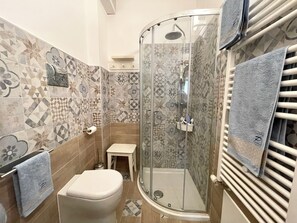 Shower, hair dryer, bidet, towels