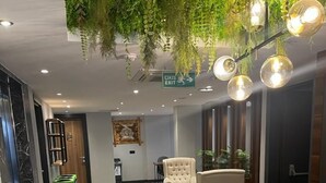 Un vestíbulo de hotel con mostrador de recepción, un sillón capitonado, un tapete estampado y una pared verde con plantas colgantes.