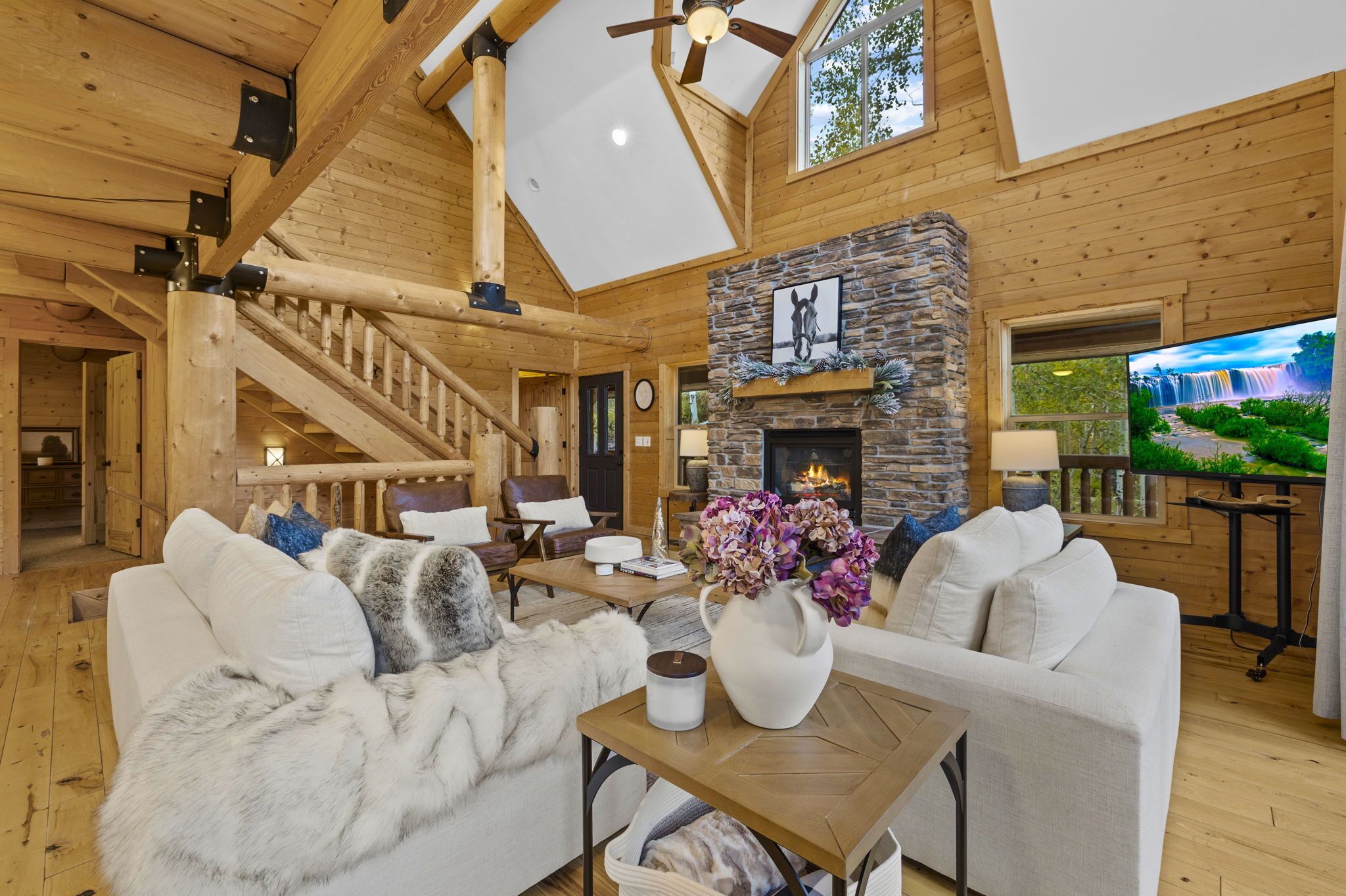 Smart TV, fireplace, table tennis, books