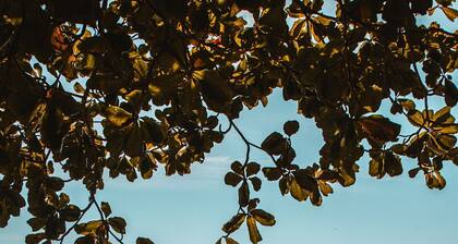 Residencial Morada do Sol