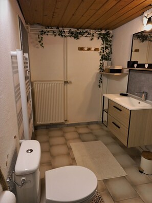 Shower, hair dryer, toilet paper