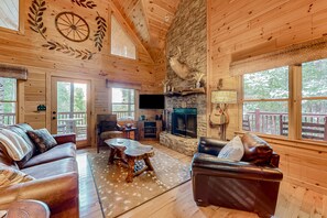 Televisión, chimenea y reproductor de DVD 