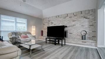 Smart TV, fireplace, books