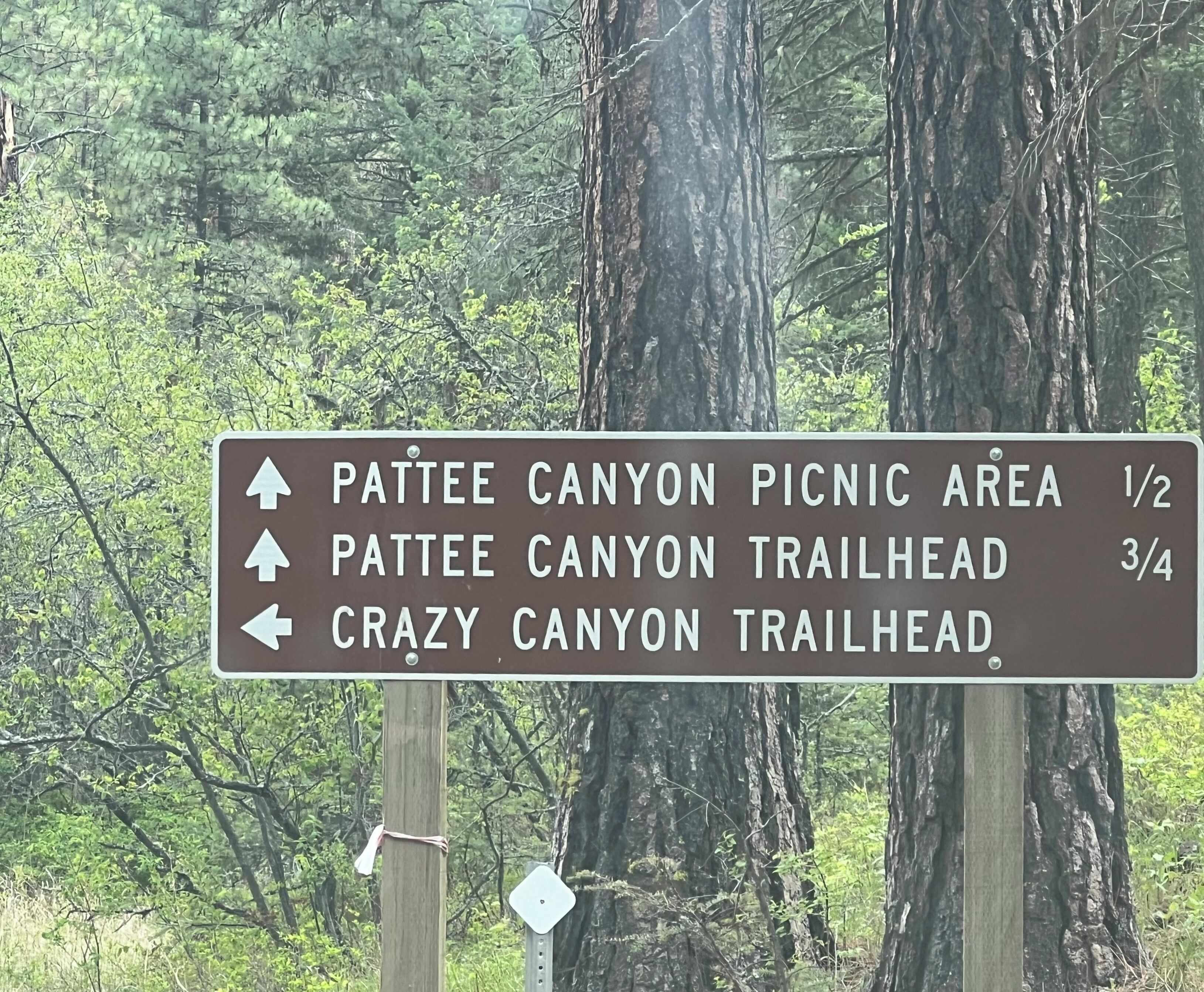 A directional sign in a forested area with arrows pointing to Pattees Canyon Picnic Area, Pattees Canyon Trailhead, and Crazy Canyon Trailhead.