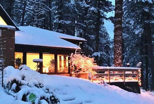 Unique Private Forest Retreat ~ 15 minutes from Downtown.