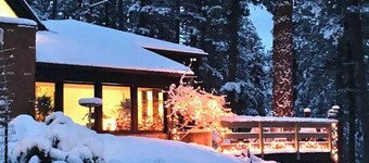 Unique Private Forest Retreat ~ 15 minutes from Downtown.