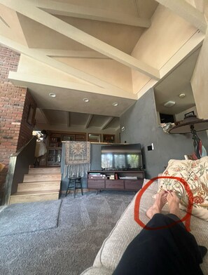 Smart TV, chimenea, libros y impresora 