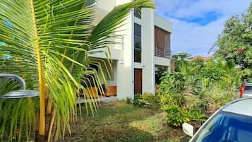 A modern building with a white facade, a visible entrance, and a small garden area with a palm tree and other greenery.