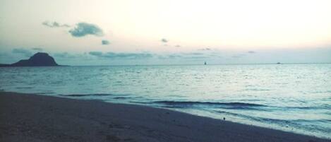 مناشف للشاطئ