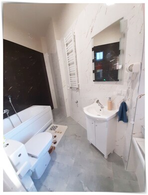 Hair dryer, towels, toilet paper