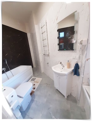 Hair dryer, towels, toilet paper