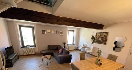 Spacious and cozy apartment in historic center