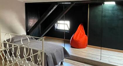 Spacious and cozy apartment in historic center