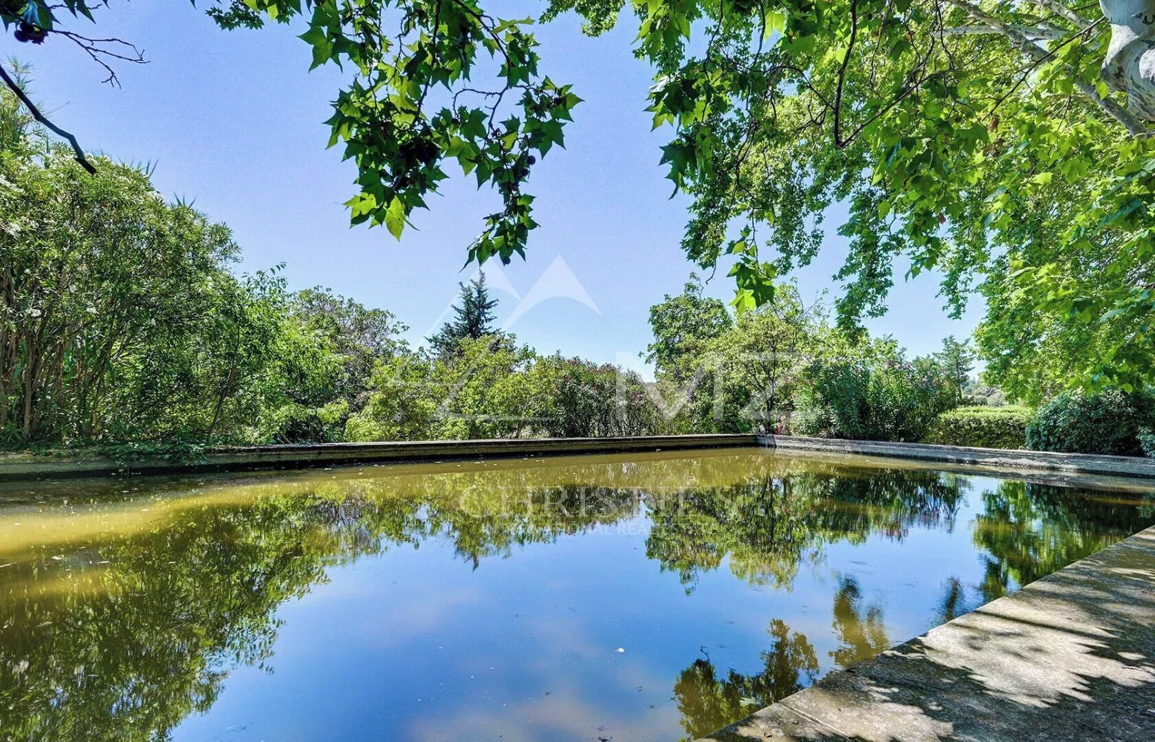 Un plan d’eau paisible, entouré d’une végétation luxuriante et d’arbres.