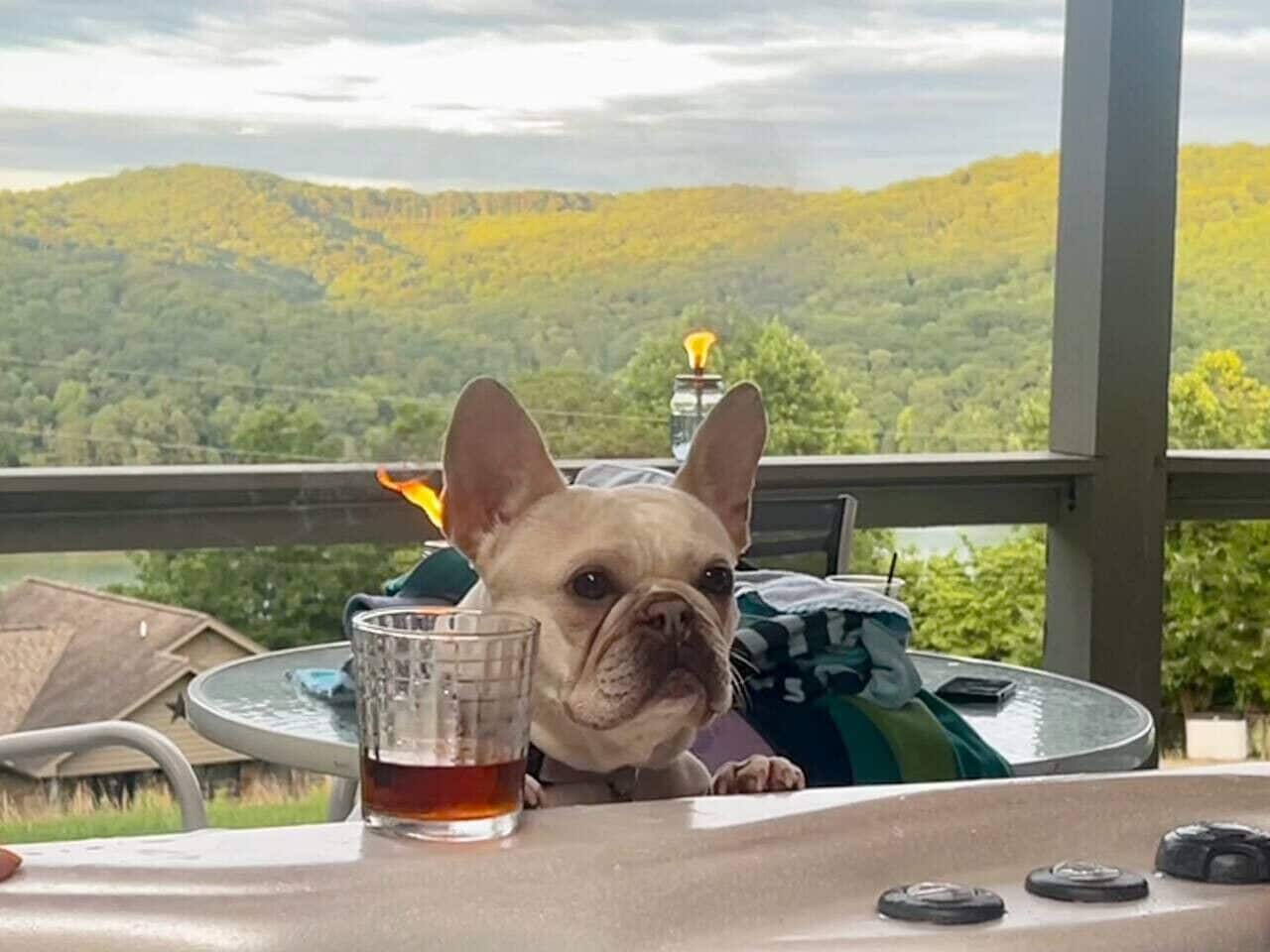 View from PRIVATE hot tub overlooking lake and mountains.  Dog not included.