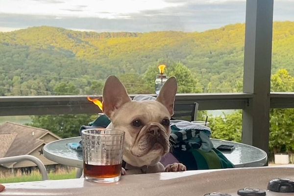 View from PRIVATE hot tub overlooking lake and mountains. Dog not included.