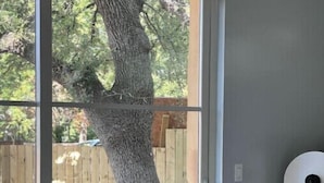 A room with a sliding glass door leading to a backyard with a tree and a wooden fence. - NEW Hip & Stylish House 30 steps from South Congress
 (Austin)