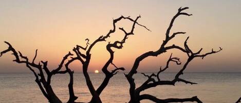 Sun-loungers, beach towels