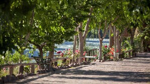A paved pathway lined with trees and benches, leading towards a body of water. - Cabañas del Cerro (El Nihuil)