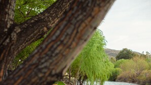 A riverside walkway with benches and a railing, surrounded by trees and a view of the river. - Cabañas del Cerro (El Nihuil)