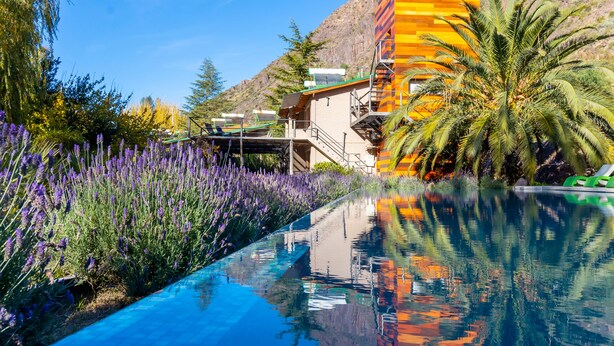 A pool with a clear blue water surface, surrounded by lavender plants and palm trees, with a modern building in the background. - Cabañas del Cerro (El Nihuil)