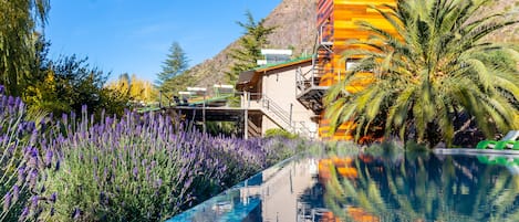 Outdoor pool, open 10:30 AM to 8:00 PM, free pool cabanas, pool loungers