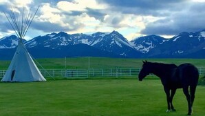 Un caballo en un campo cubierto de hierba, con una tienda tipi blanca y montañas nevadas al fondo.