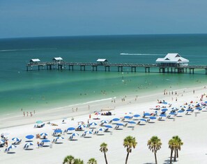 Sun-loungers, beach towels - 🔆Modern Coastal Beach Retreat: HEATED POOL, Newly Renovated, minutes to beaches (Clearwater)