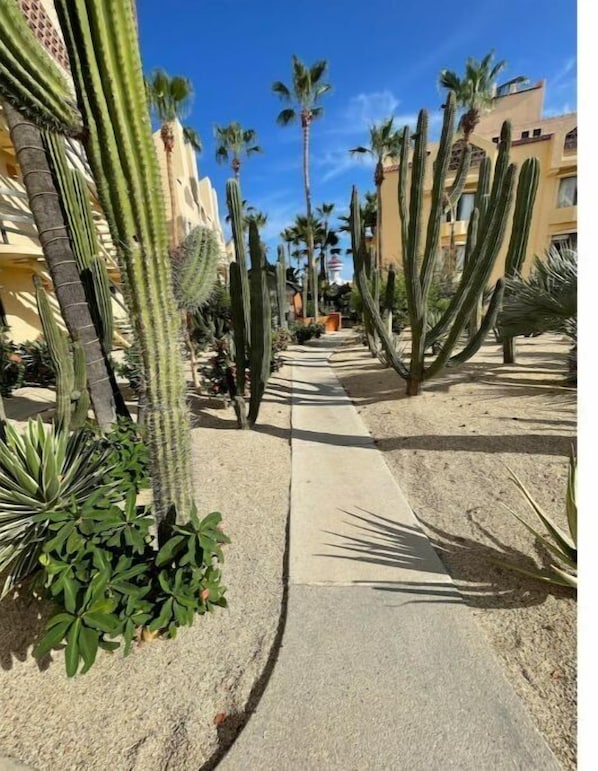 Property grounds - Cabo Beach & Golf & Family (San Jose del Cabo)