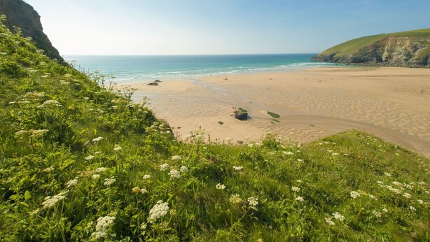 A coastal beach with a grassy foreground and a cliff. - Lobbs Cottage -  Pet Friendly, Free Parking (St Mawgan)