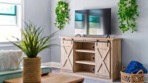 A room with a TV on a wooden cabinet, a plant on a table, and a basket on the floor. - The Norwood Nook – Walkable Stay Near O’Hare & Metra! (Chicago)
