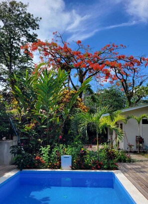 Alberca al aire libre 