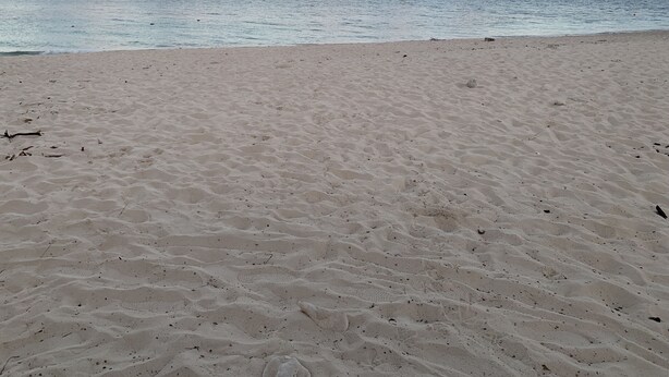 Ein sandiger Strand mit Fußabdrücken und einem ruhigen Meer unter bewölktem Himmel.