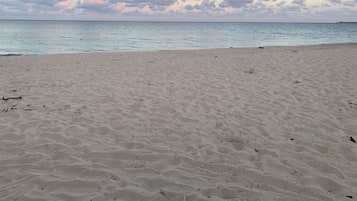 On the beach