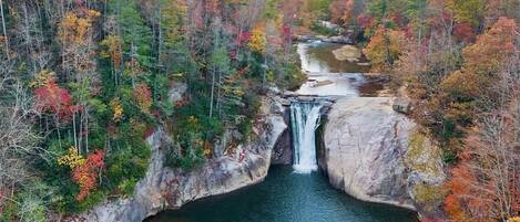 DO go chasing waterfalls! Three are close by (one in walking distance!), & many more within an hours' drive. If you enjoy hiking or strolling through the woods, we have lots of activities nearby for you in any season!