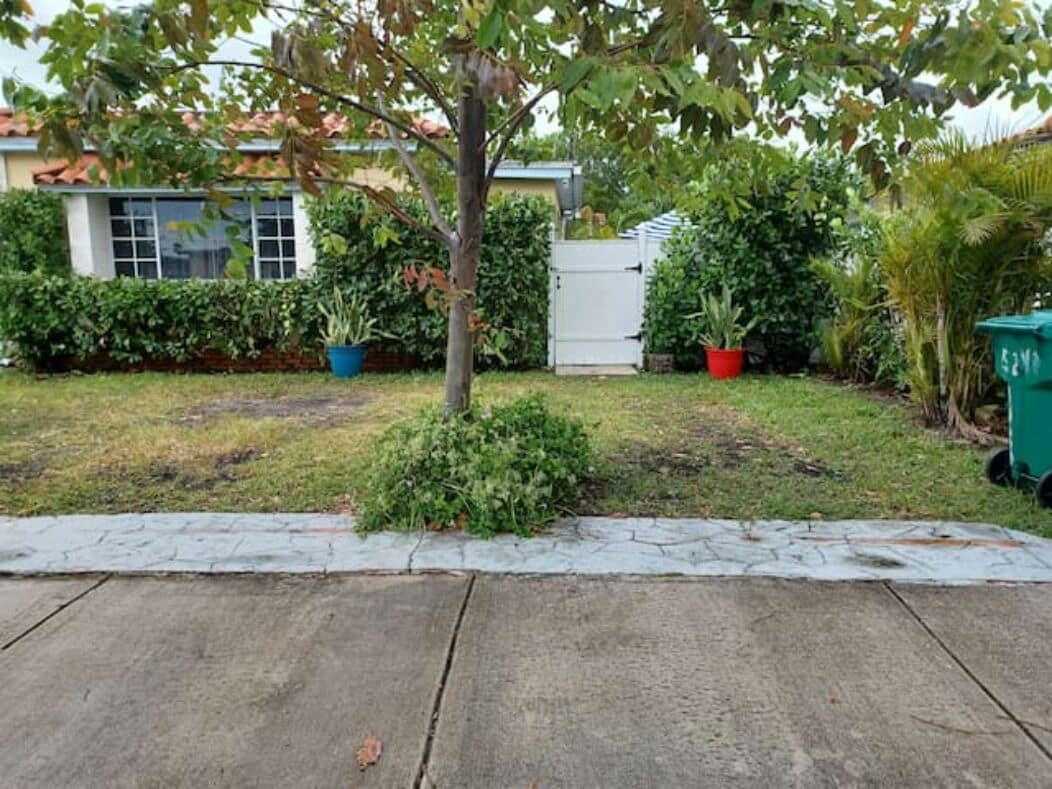 Un jardín residencial con un sendero pavimentado, un árbol y varias plantas en macetas.