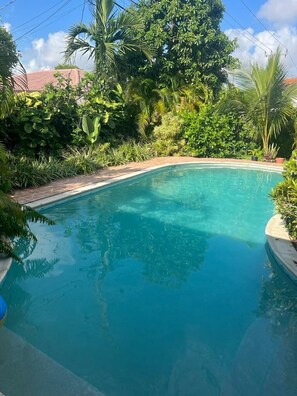 A clear blue pool surrounded by lush greenery and a brick wall in the background. - Beautiful And Comfortable Home and studios   (Miami)