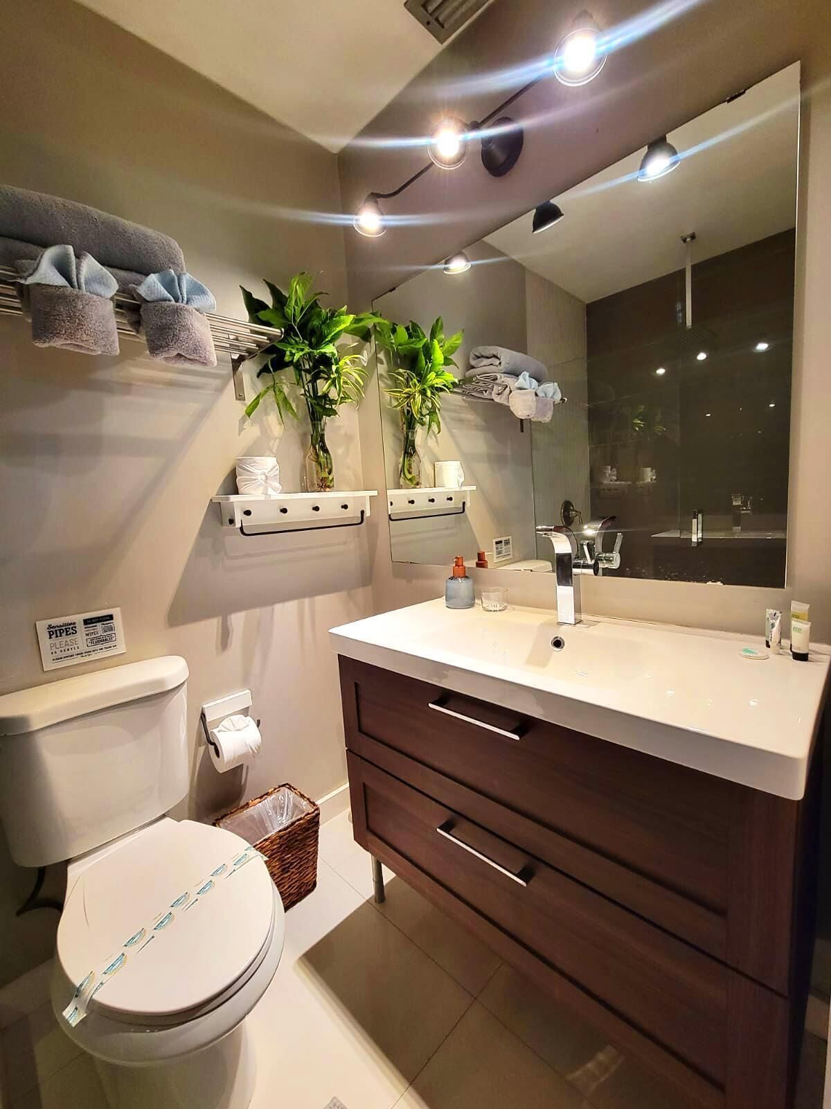 Une salle de bain moderne avec un lavabo blanc, un meuble-lavabo en bois foncé, un grand miroir et deux plantes en pot.