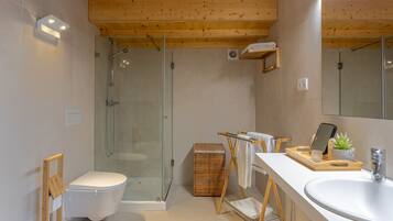 Shower, hair dryer, bidet, towels