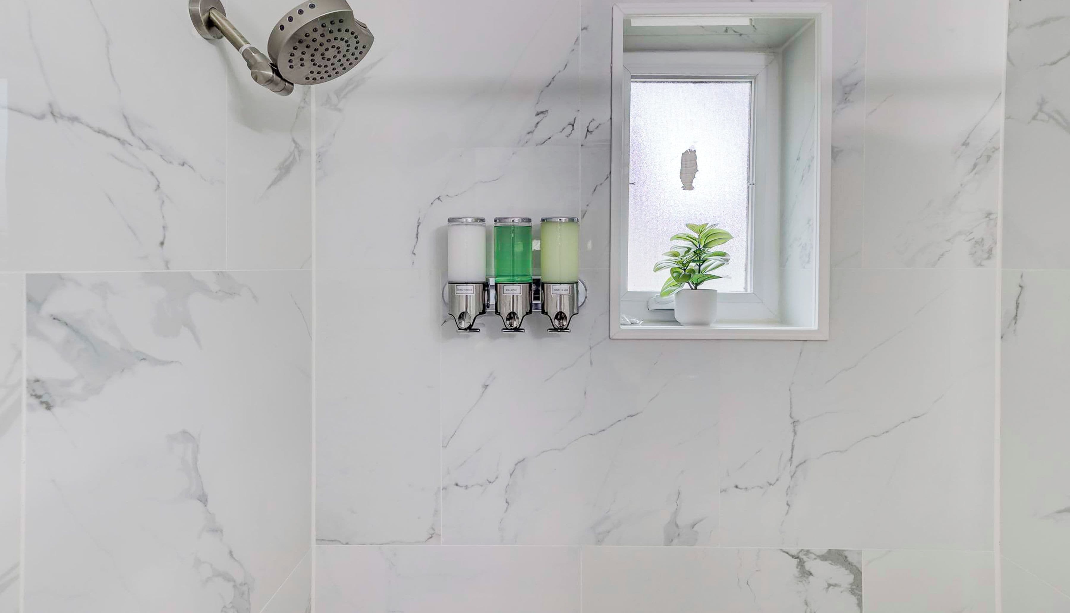 A bathroom with a shower, a window with a plant, and a soap dispenser wall.