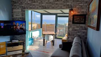 Una Smart TV, un reproductor de DVD, libros