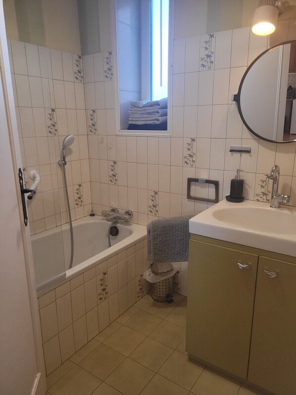 Secador de cabelo, toalhas de banho, papel higiênico 